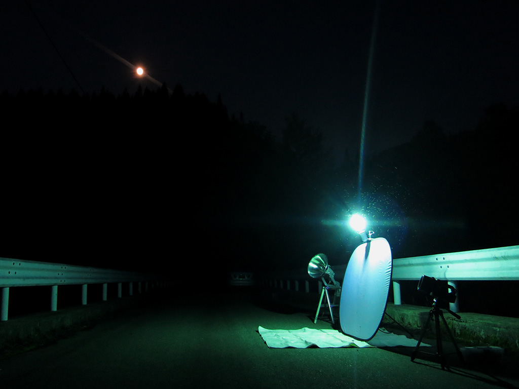 ライトトラップの軌跡 夜間飛行 灯火にあつまる秋田県の昆虫